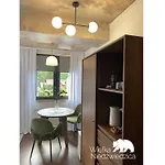 Wielka Niedzwiedzica Apartment Wisla