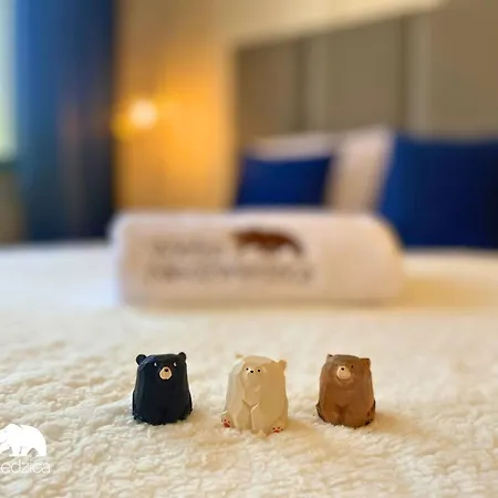 Apartman Wielka Niedzwiedzica *