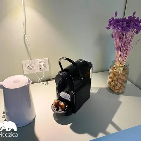 Apartman Wielka Niedzwiedzica Wisła
