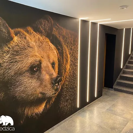 Wielka Niedzwiedzica Lägenhet