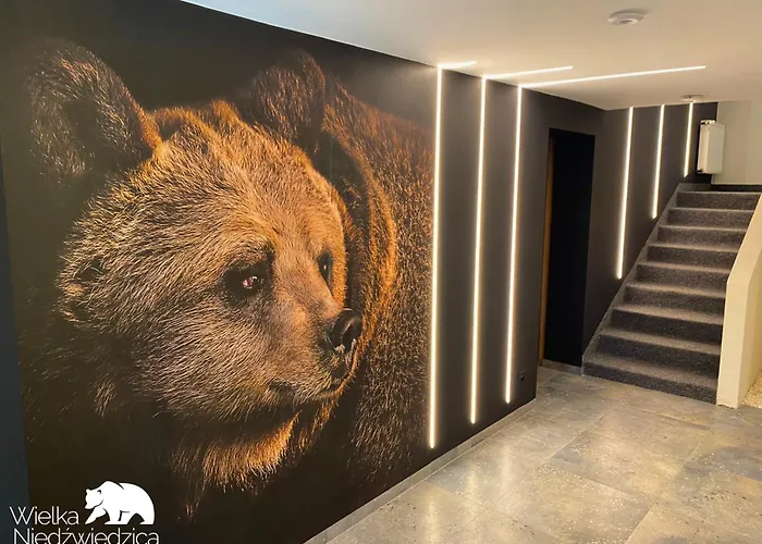 Wielka Niedzwiedzica דירה